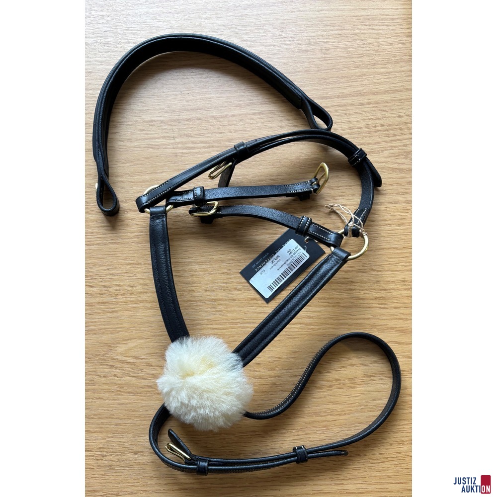 Wechselnasenriemen&sol;Stirnriemen