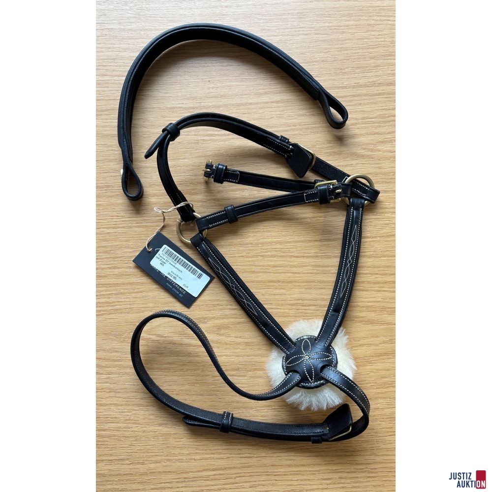 Wechselnasenriemen&sol;Stirnriemen