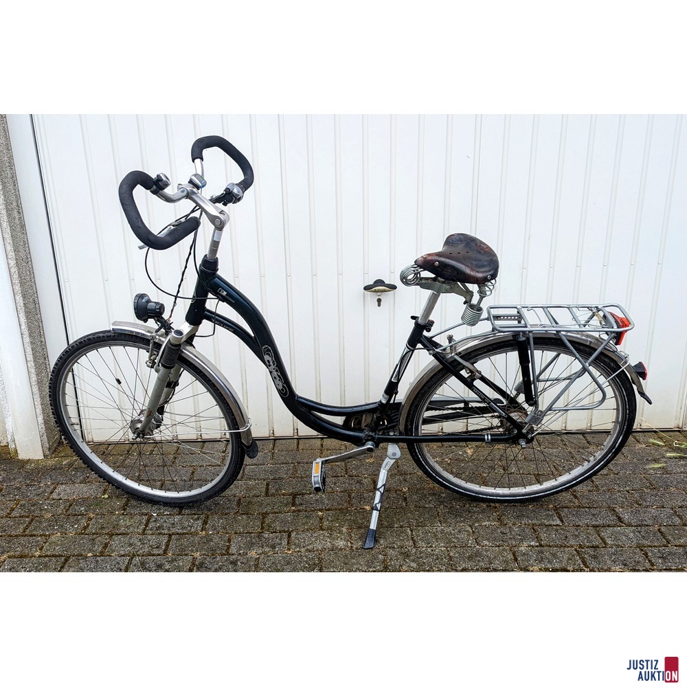 Fahrrad ganz