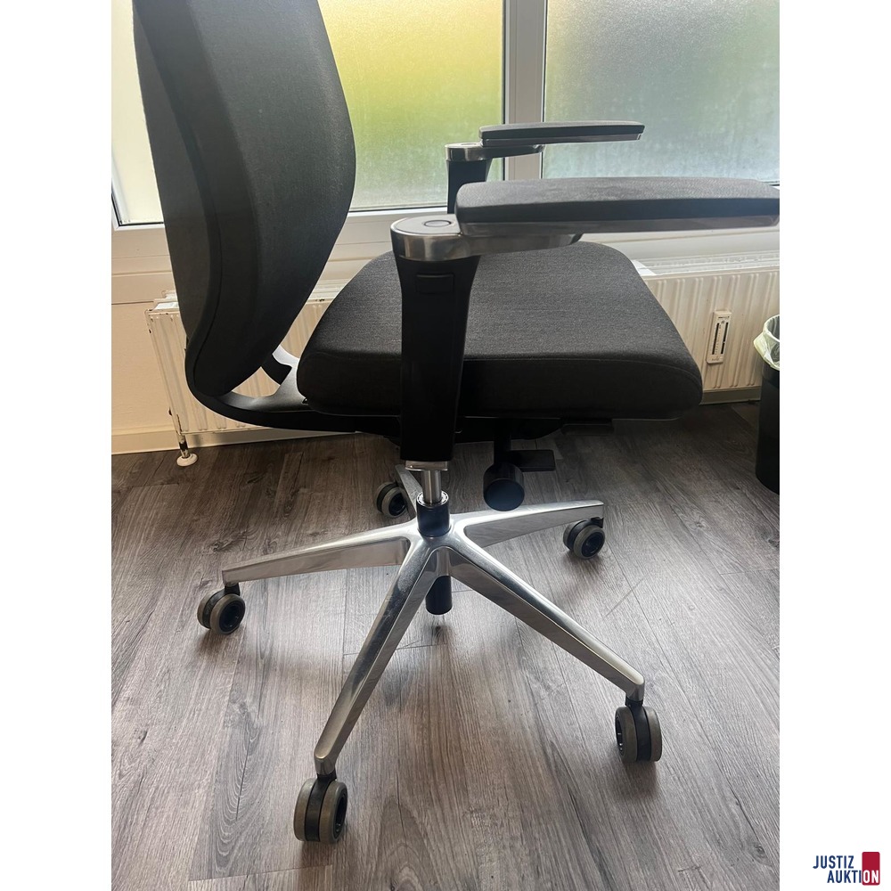 Ergotopia MasterBack Executive