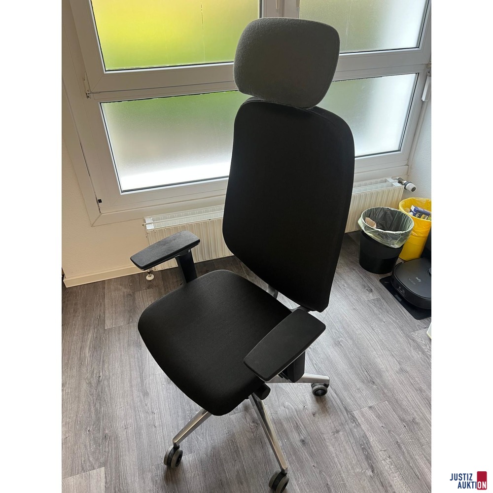 Ergotopia MasterBack Executive