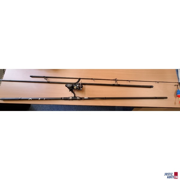 Rute Calden Carp 390