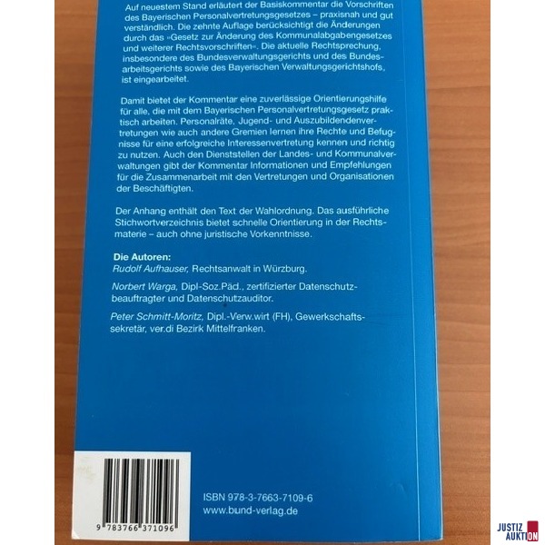 BayPVG hinten
