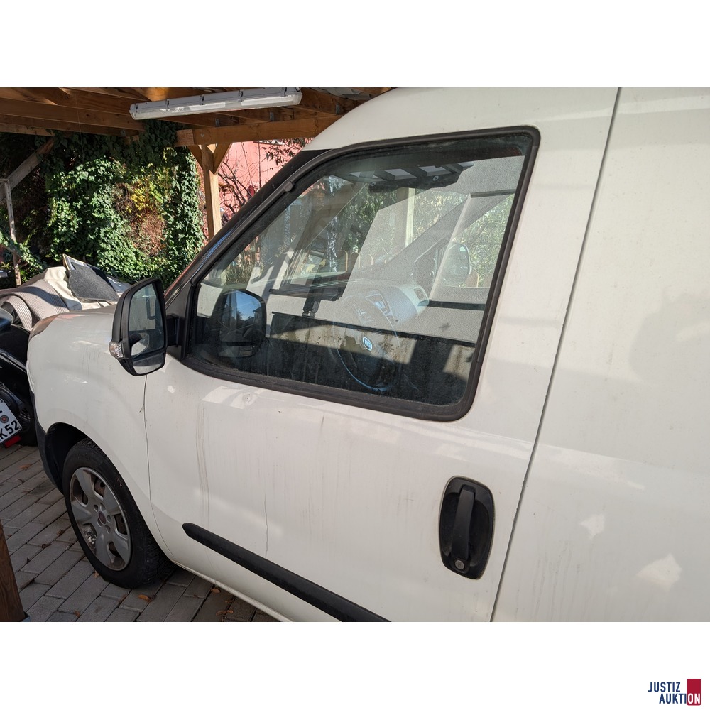 Fahrerseite Tür