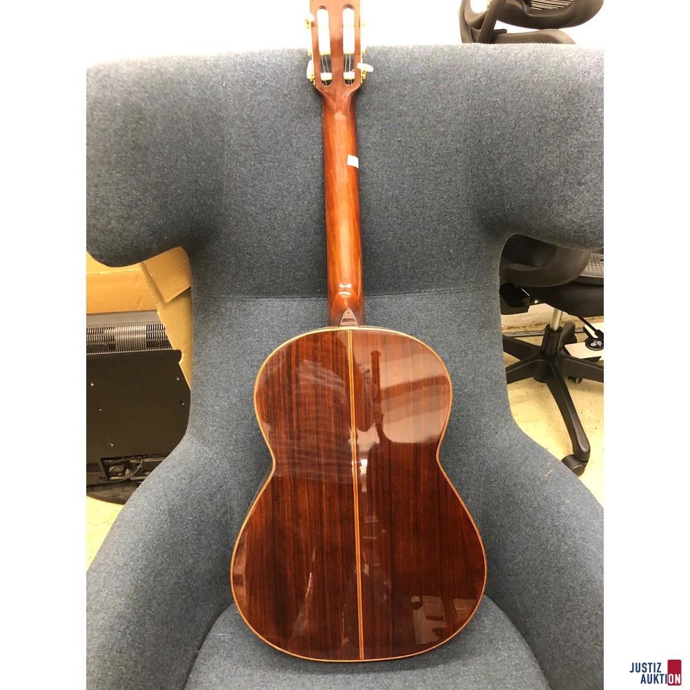 Gitarrenrücken