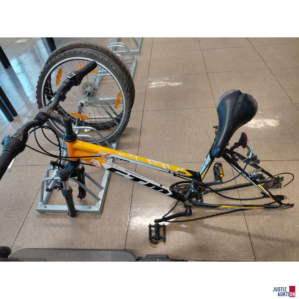 Fahrradrahmen CTM Stefi samt&nbsp;2 Reifen separat