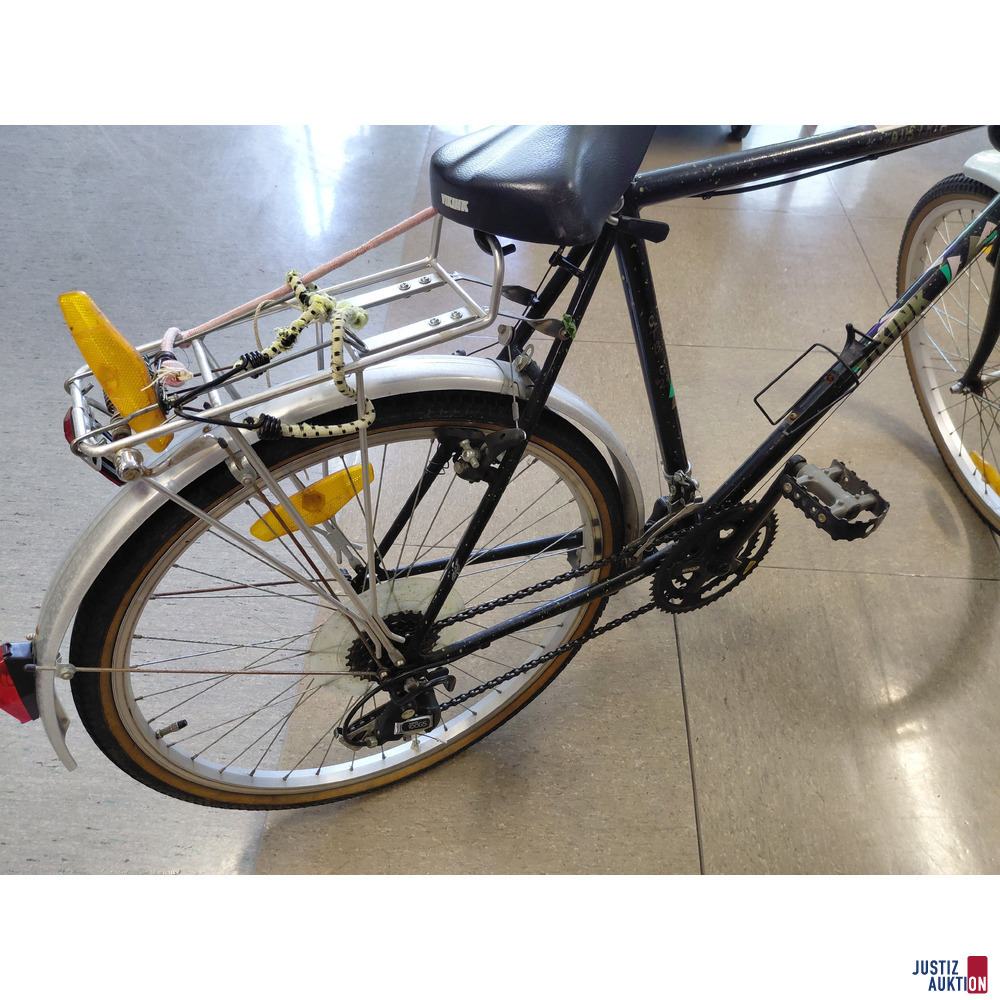 Fahrrad VIKINK Austria Design CTB G 21