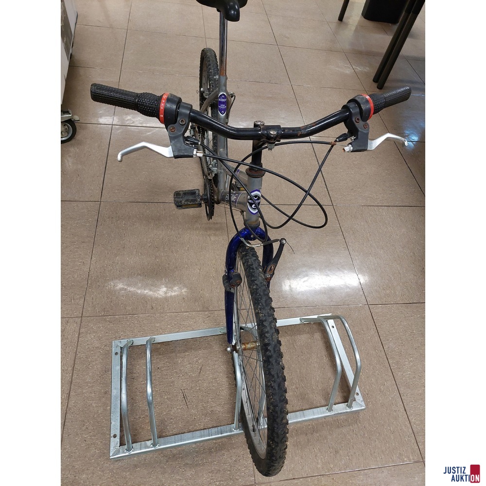 Fahrrad der Marke Engine Jupiter