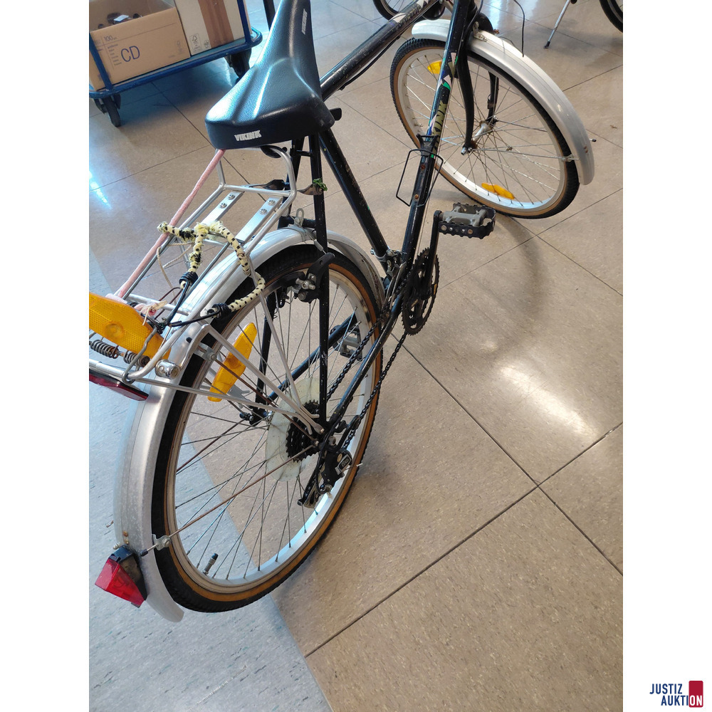 Fahrrad VIKINK Austria Design CTB G 21