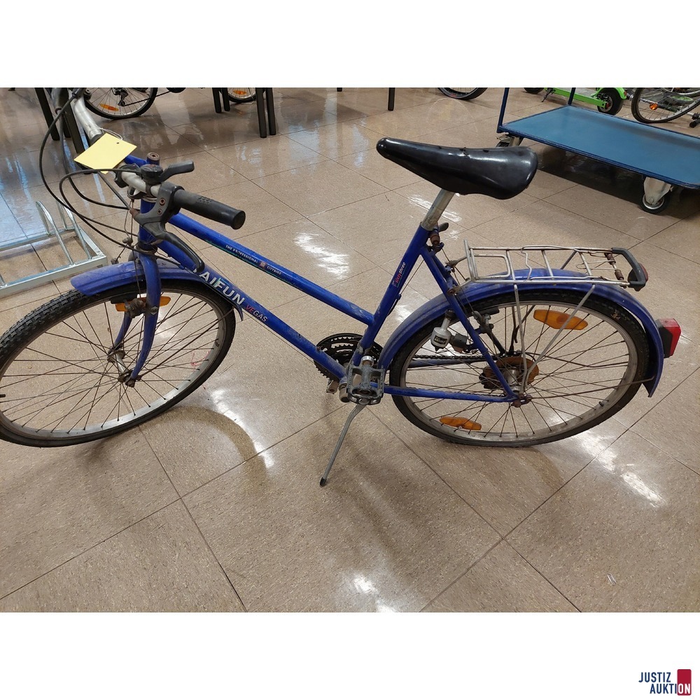 Citybike der Marke Taifun Vegas