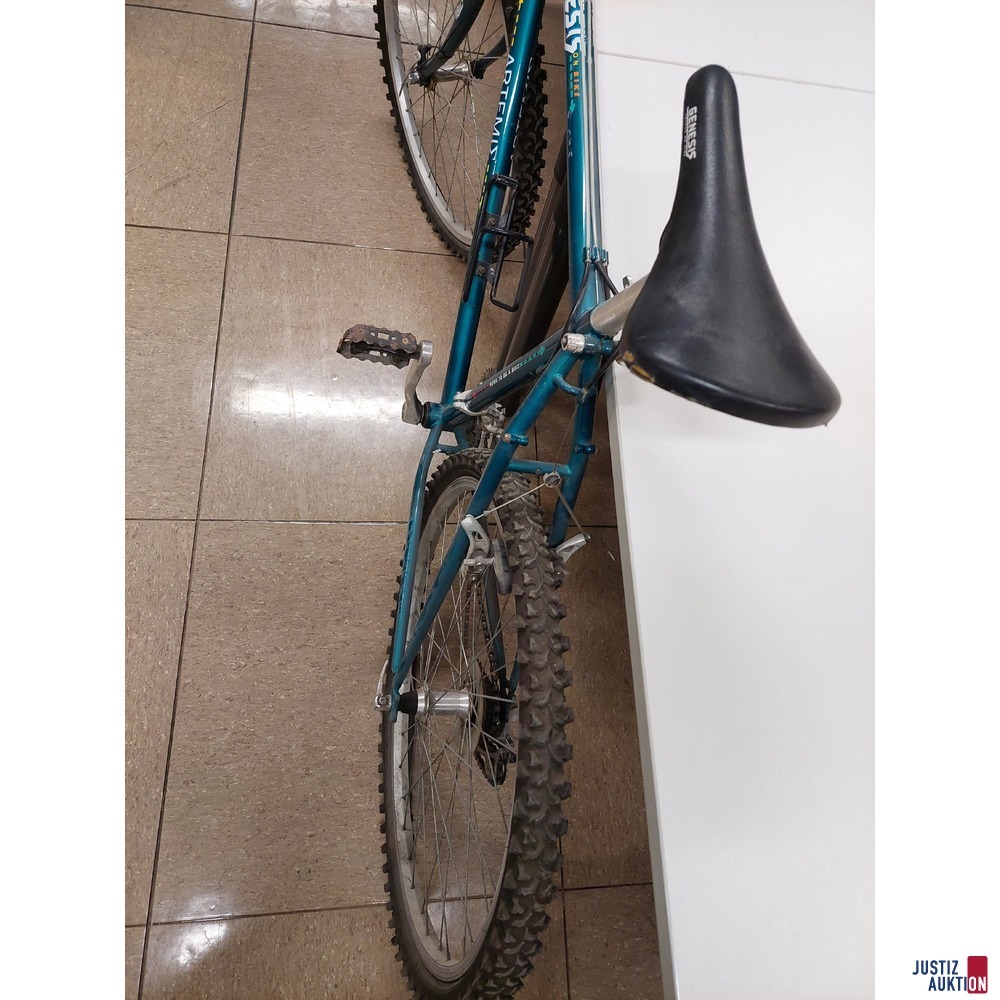 Fahrrad der Marke GENESIS&ndash; Arteite