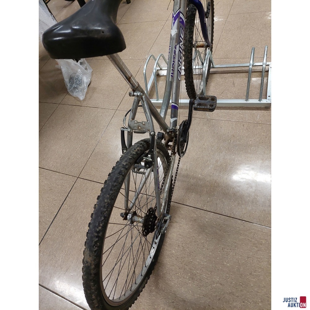 Fahrrad der Marke Engine Jupiter