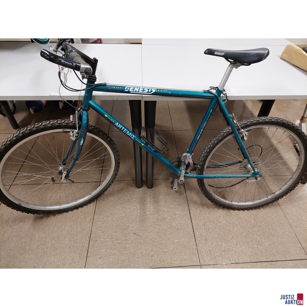Fahrrad der Marke GENESIS&ndash; Arteite