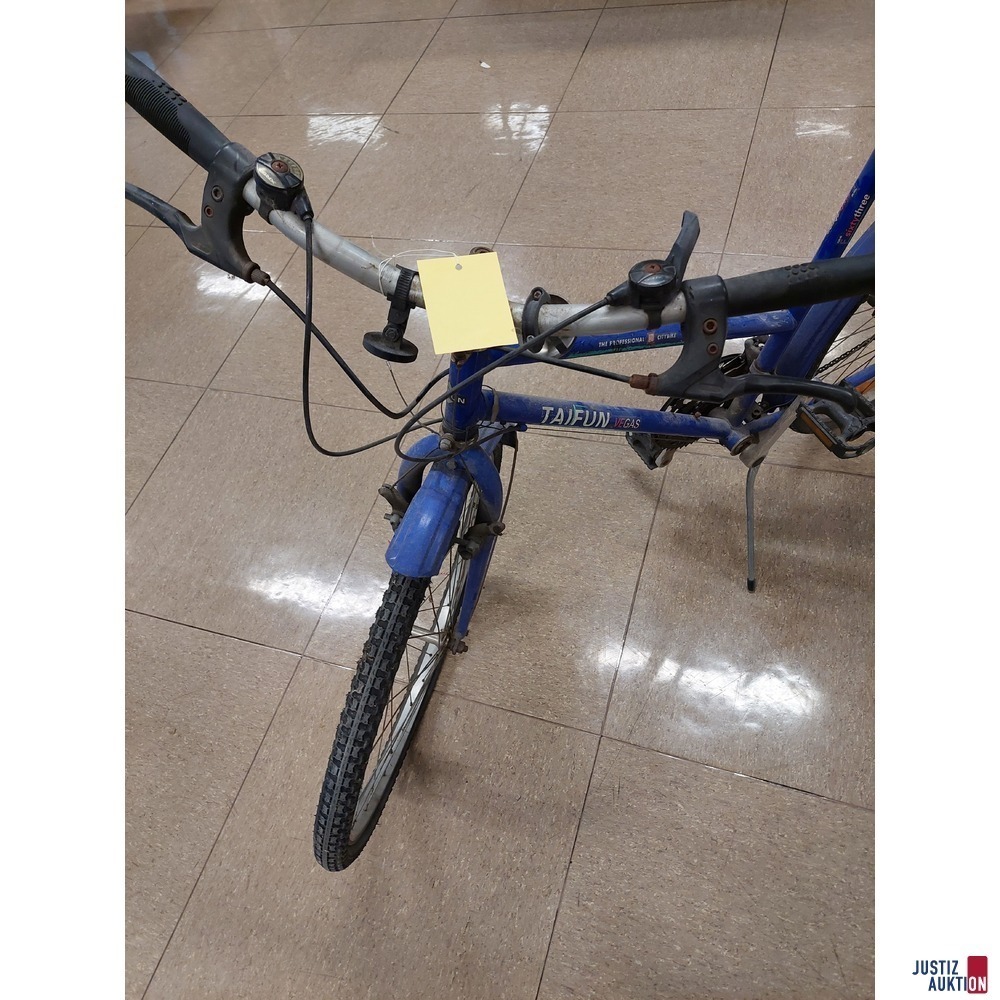 Citybike der Marke Taifun Vegas