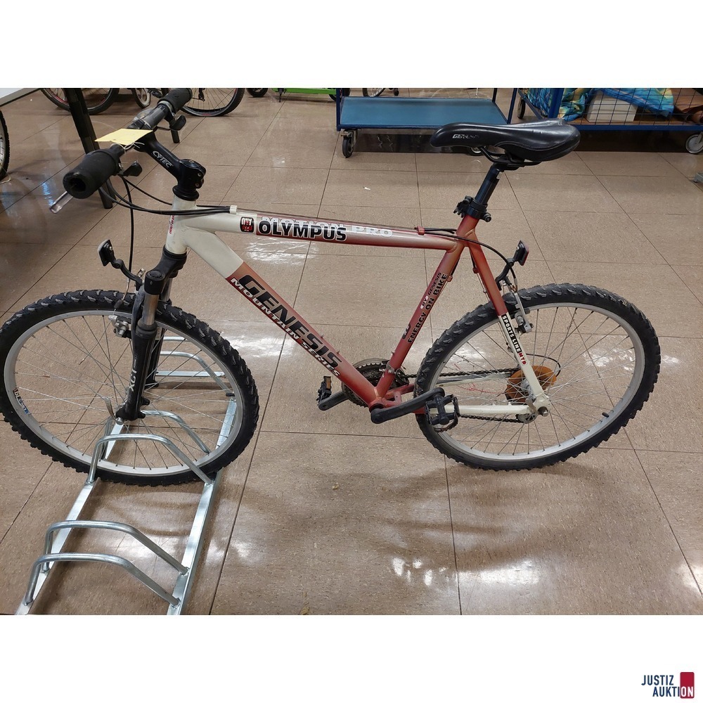 Fahrrad der Marke Genesis Mountainseries &ndash; Olymous Motion Pro Alu 7005