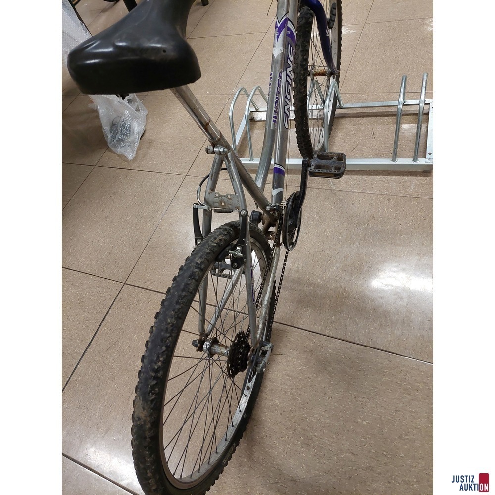 Fahrrad der Marke Engine Jupiter