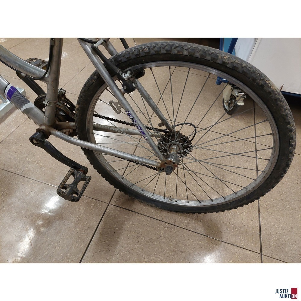 Fahrrad der Marke Engine Jupiter