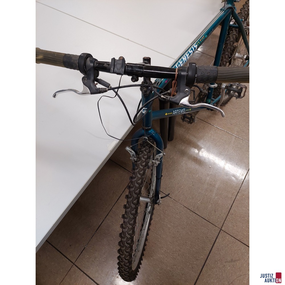 Fahrrad der Marke GENESIS&ndash; Arteite