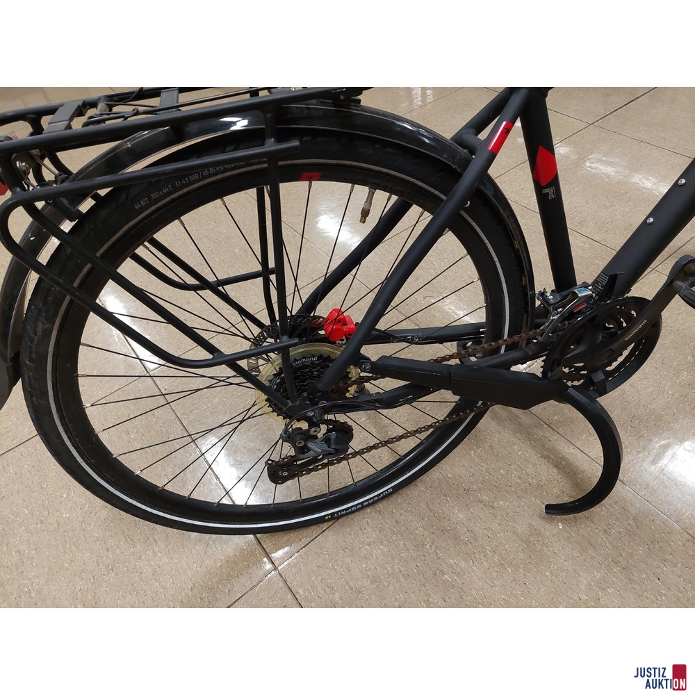 Fahrrad der Marke Pegasus Solero SL