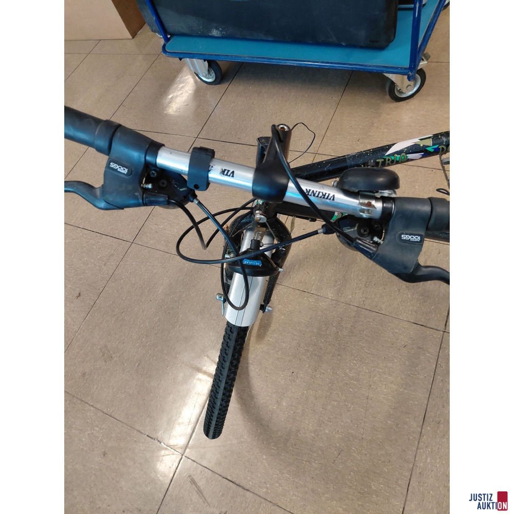 Fahrrad VIKINK Austria Design CTB G 21