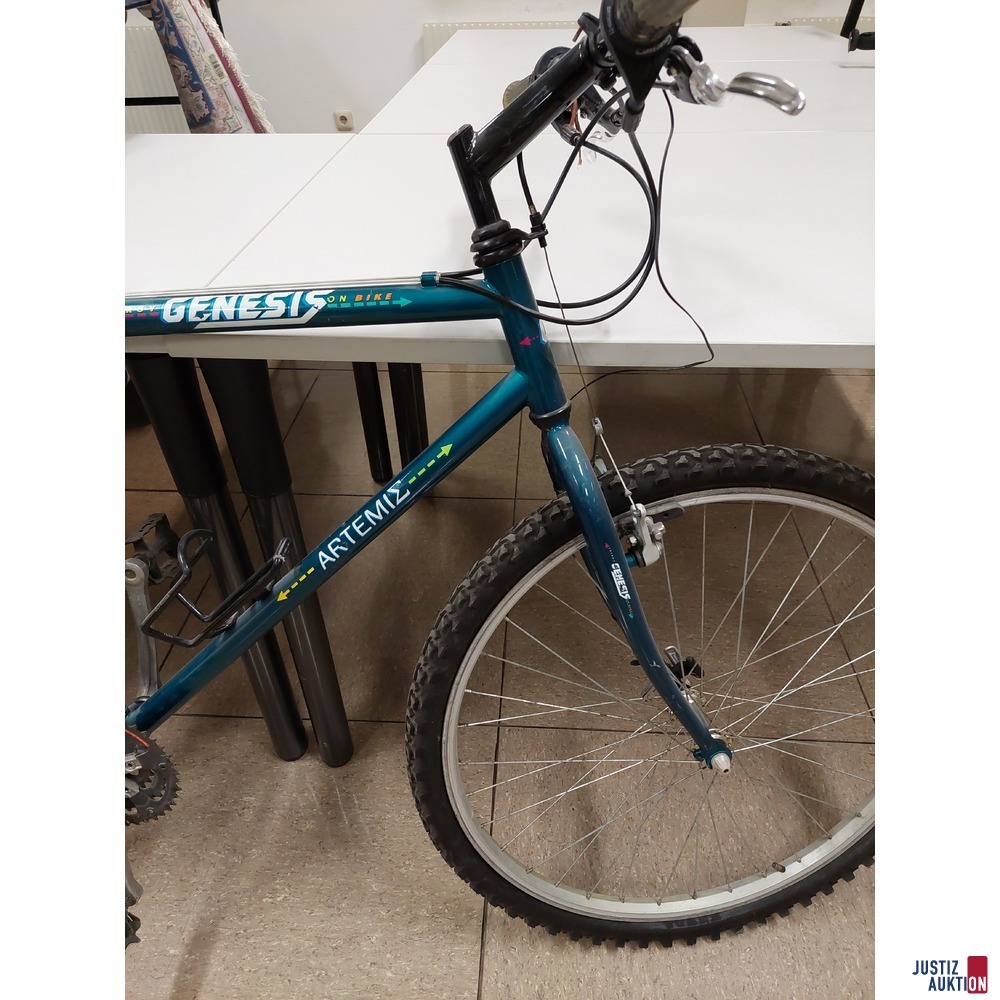 Fahrrad der Marke GENESIS&ndash; Arteite