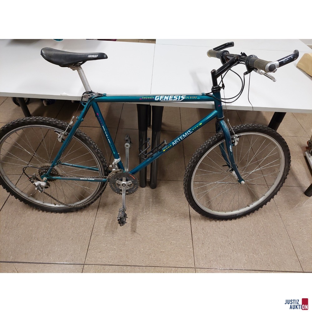 Fahrrad der Marke GENESIS&ndash; Arteite