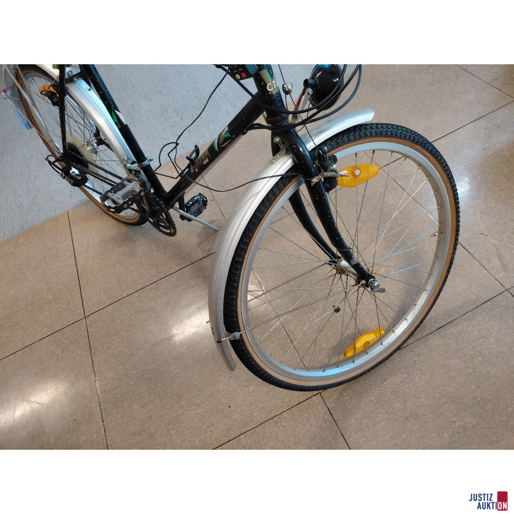 Fahrrad VIKINK Austria Design CTB G 21