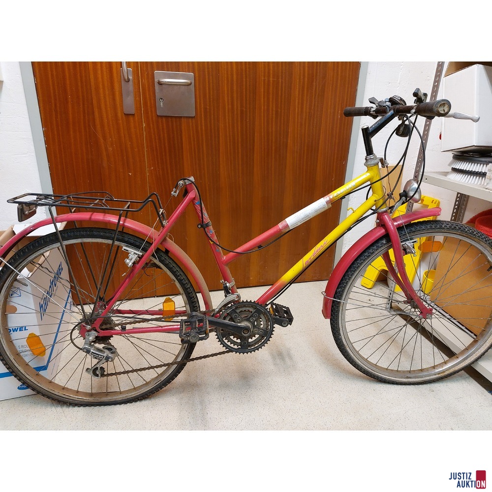 Fahrrad der Marke Lardini