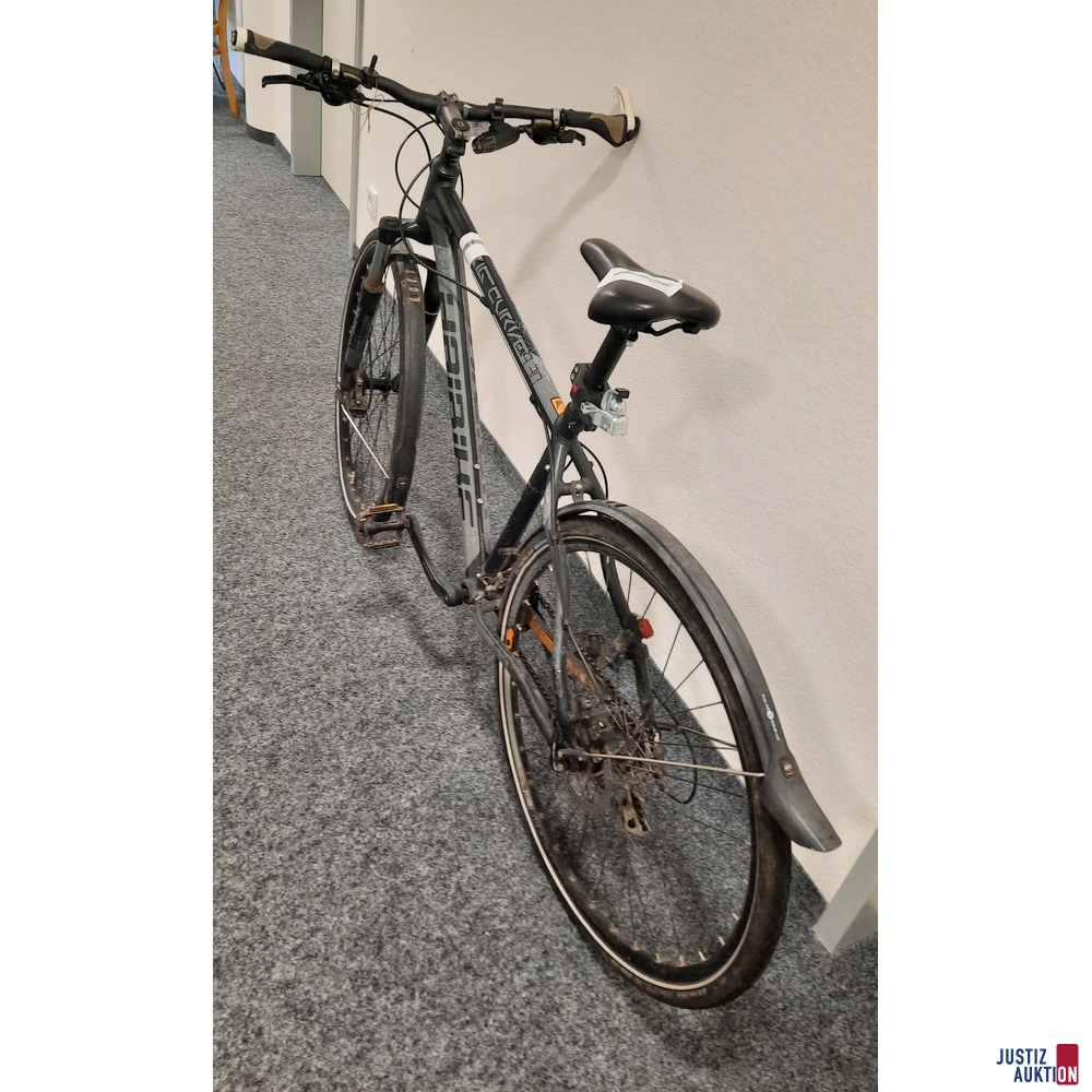 Treckingrad Haibike Big Cuve