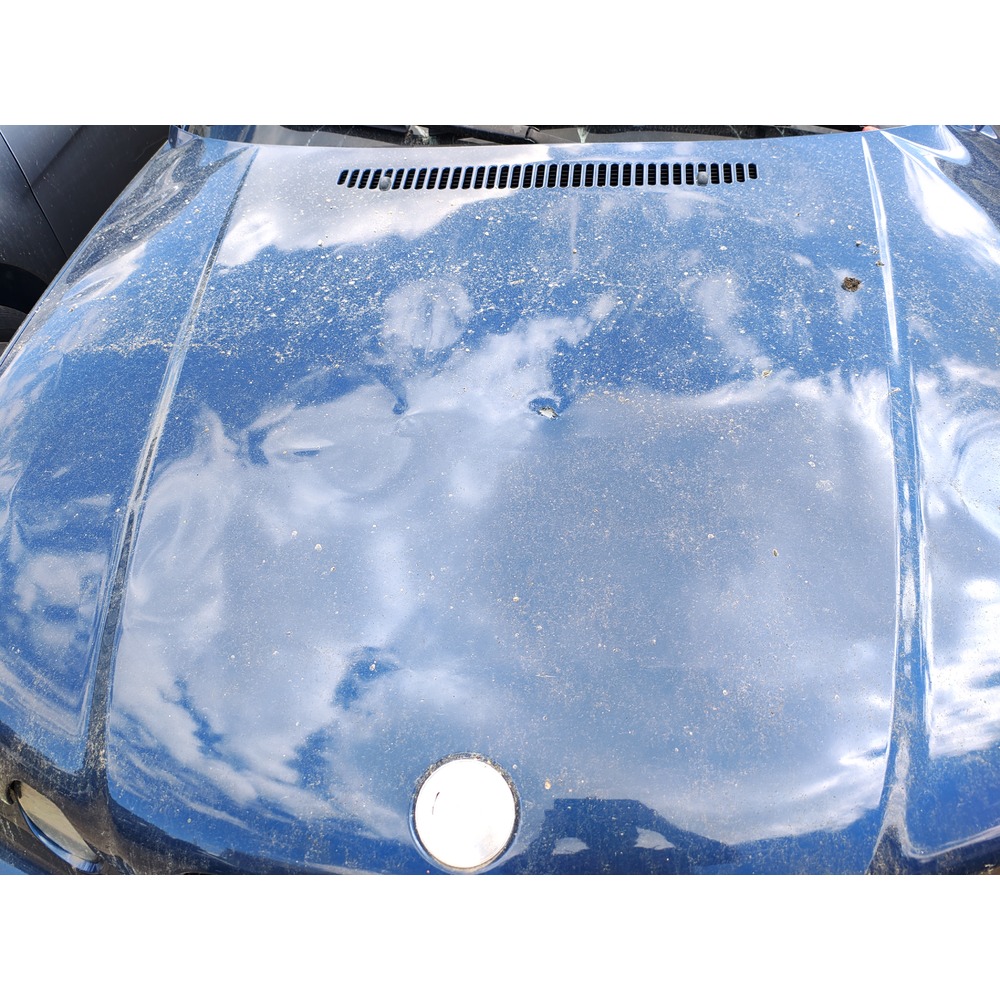 Motorhaube