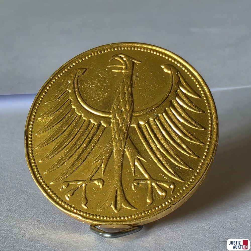 5DM&lowbar;Silberadler&lowbar;Detailansicht