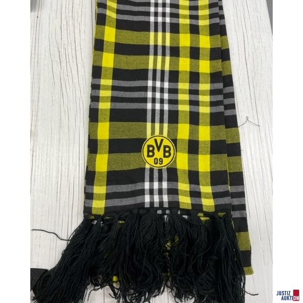 BVB Konvolut Schal