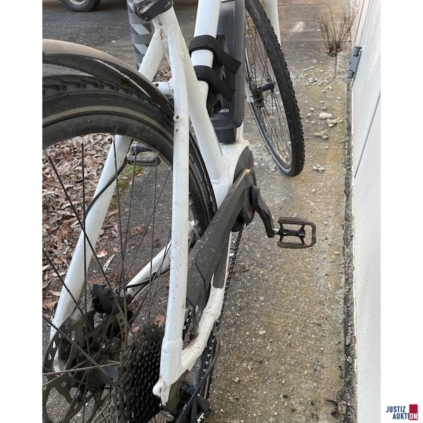 Flyer E-Bike Ritzel