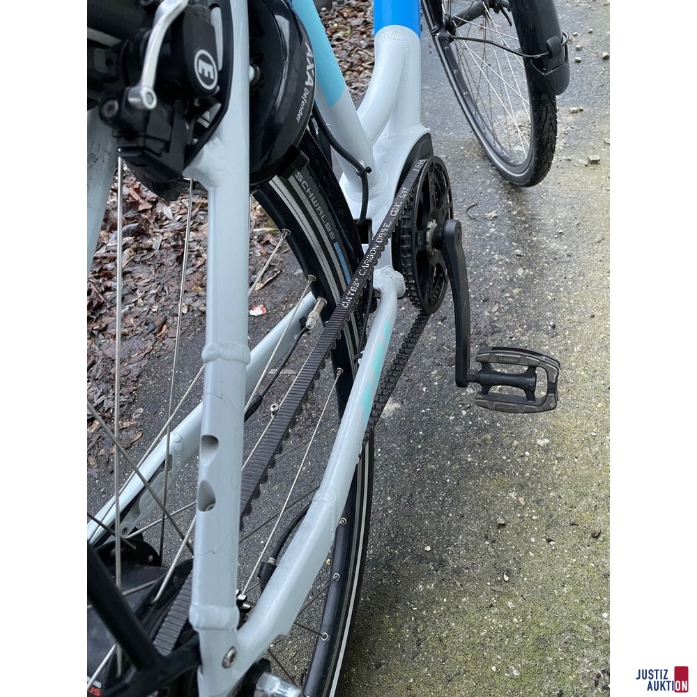 Liqbike ritzel