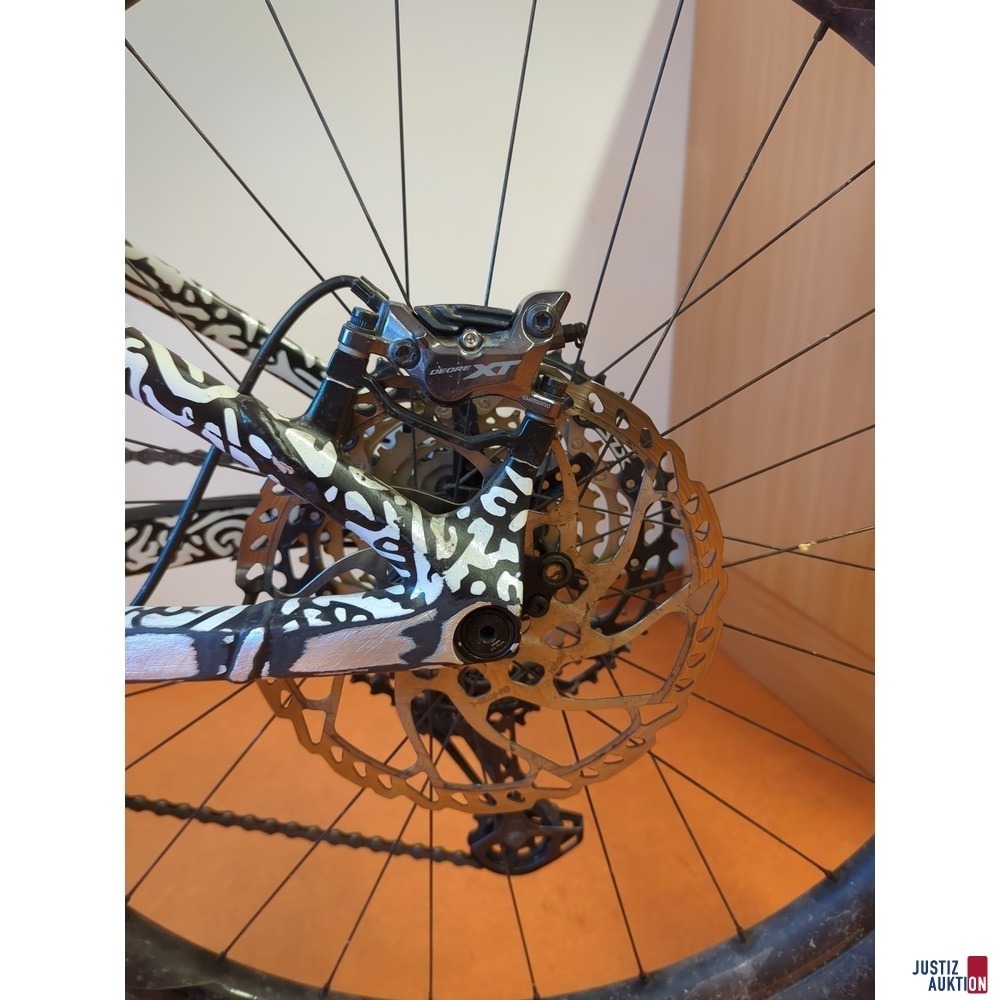 Scheibenbremse hinten