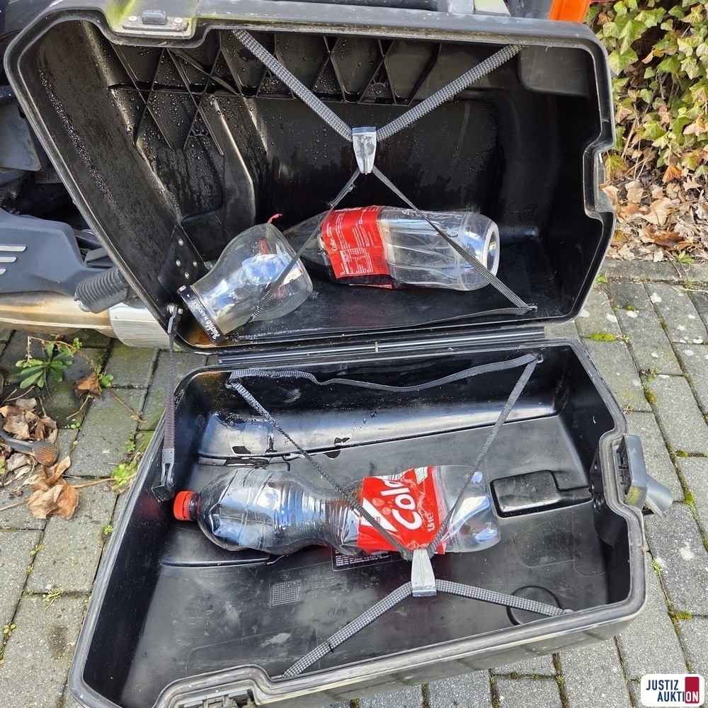 Seitengep&auml;cktr&auml;ger