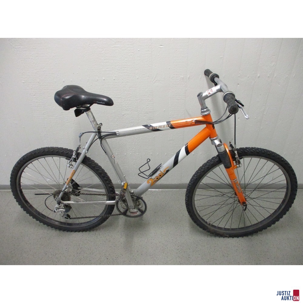 Mountainbike Diamant 2cool
