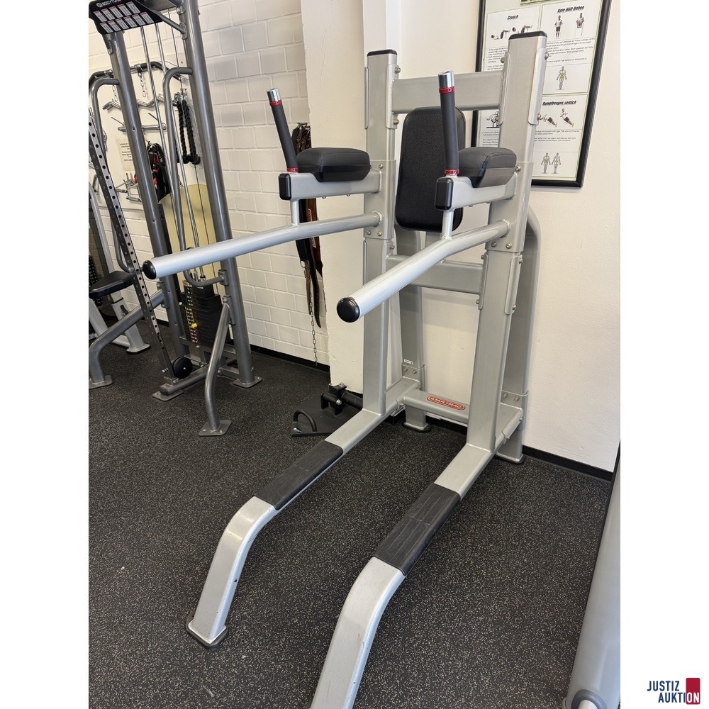 Leg Raise &sol; Dip-Rack-Ger&auml;t