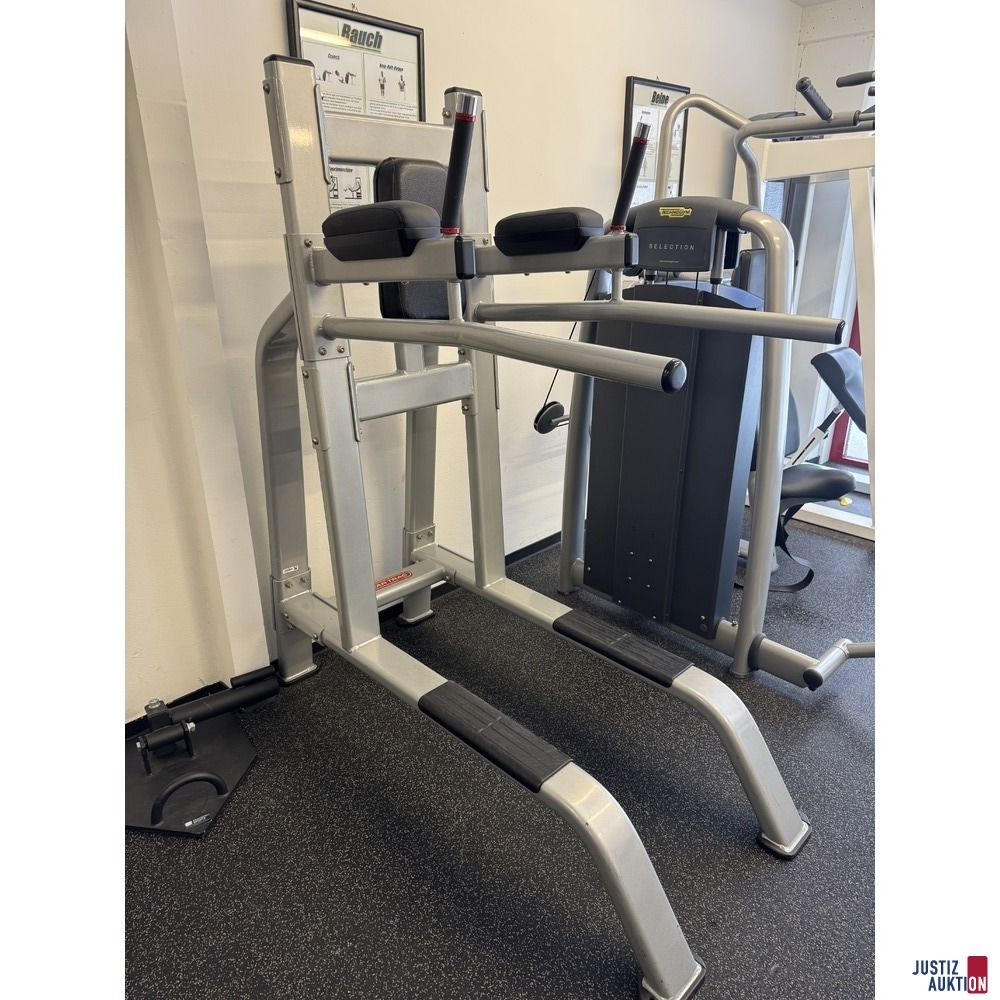 Leg Raise &sol; Dip-Rack-Ger&auml;t