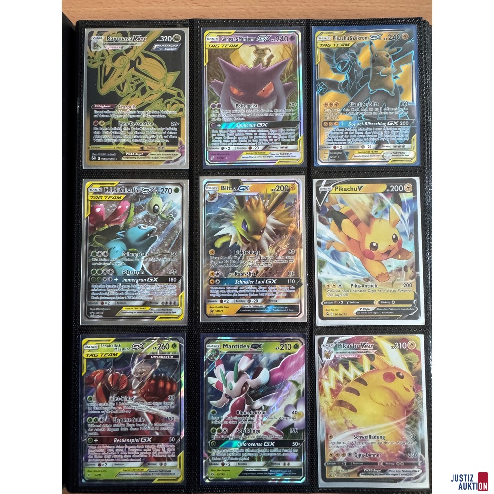 Pokemonalbum mit 228 Einzelkarten