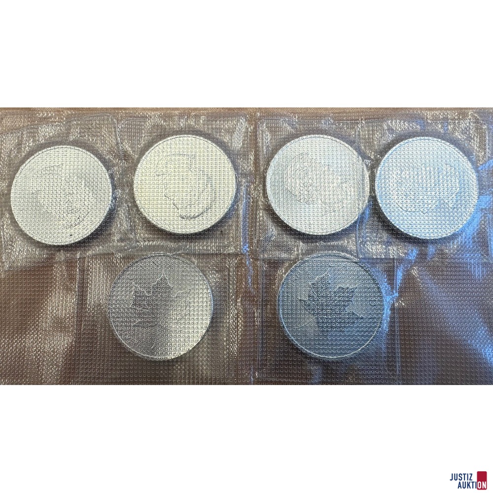 6 Maple Leaf Münzen Rückseite