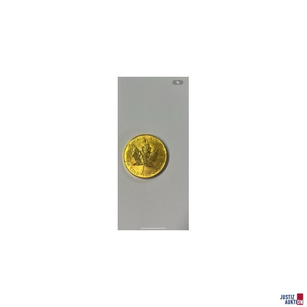 Rückseite