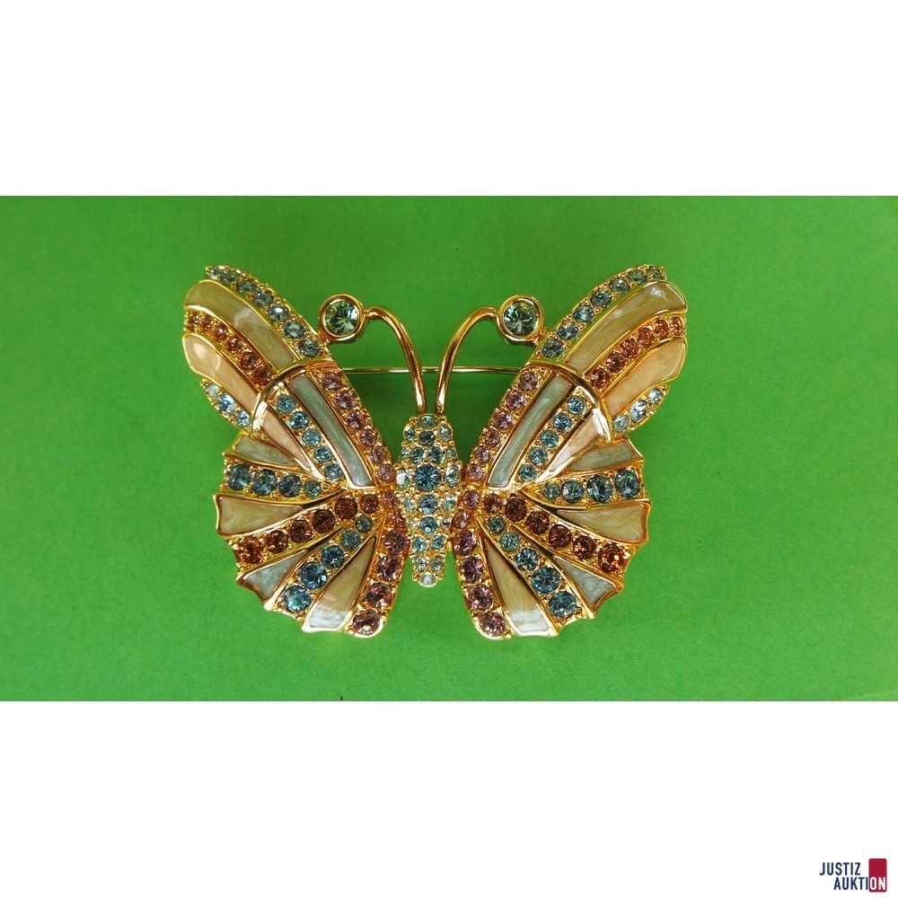 Ansicht Schmetterling