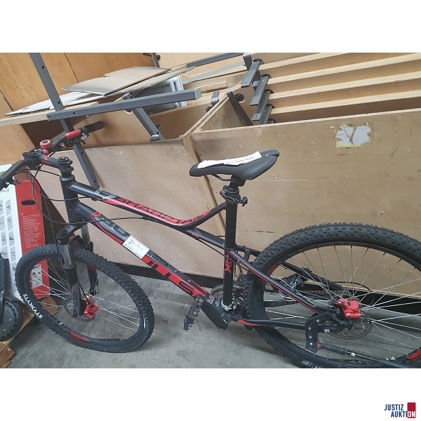 MTB Bulls