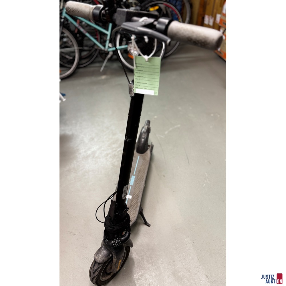 E-Scooter ganz