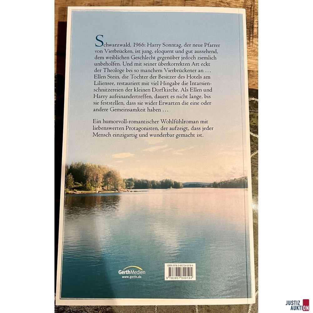 Buchbeschreibung 2