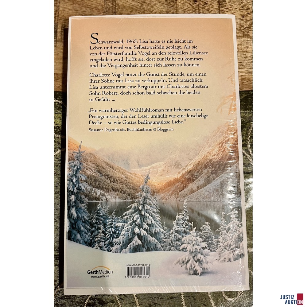 Buchbeschreibung 1