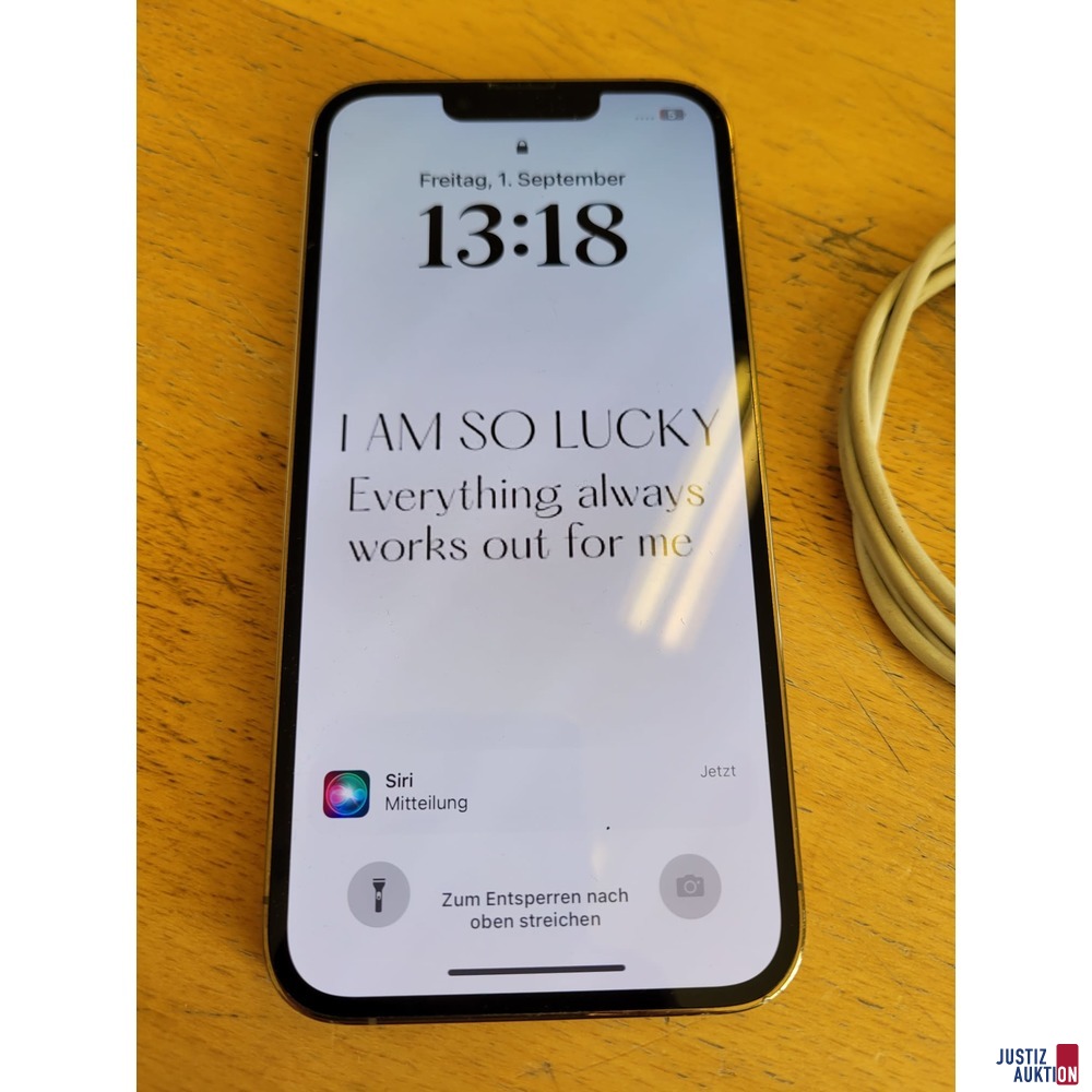 Apple iPhone 13Pro - 256 GB gebraucht/Gebrauchsspuren vorhanden