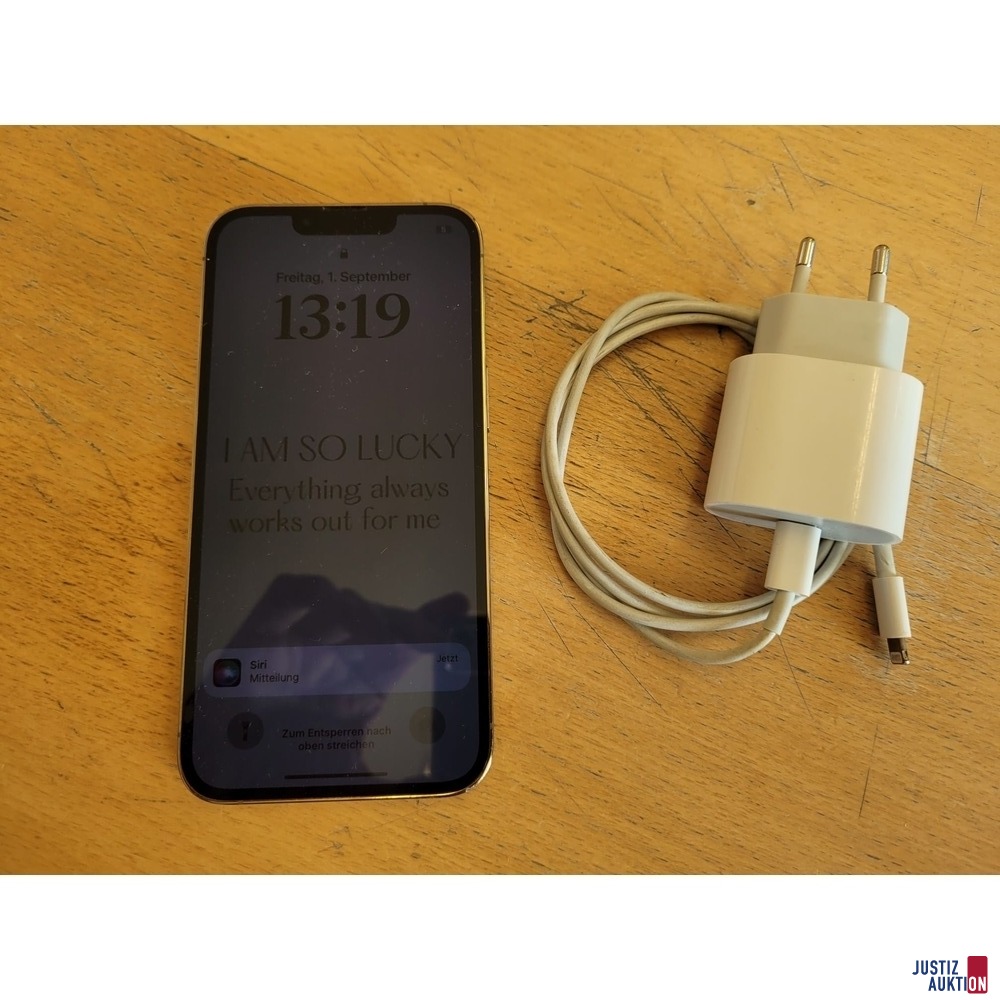 Apple iPhone 13Pro - 256 GB gebraucht/Gebrauchsspuren vorhanden