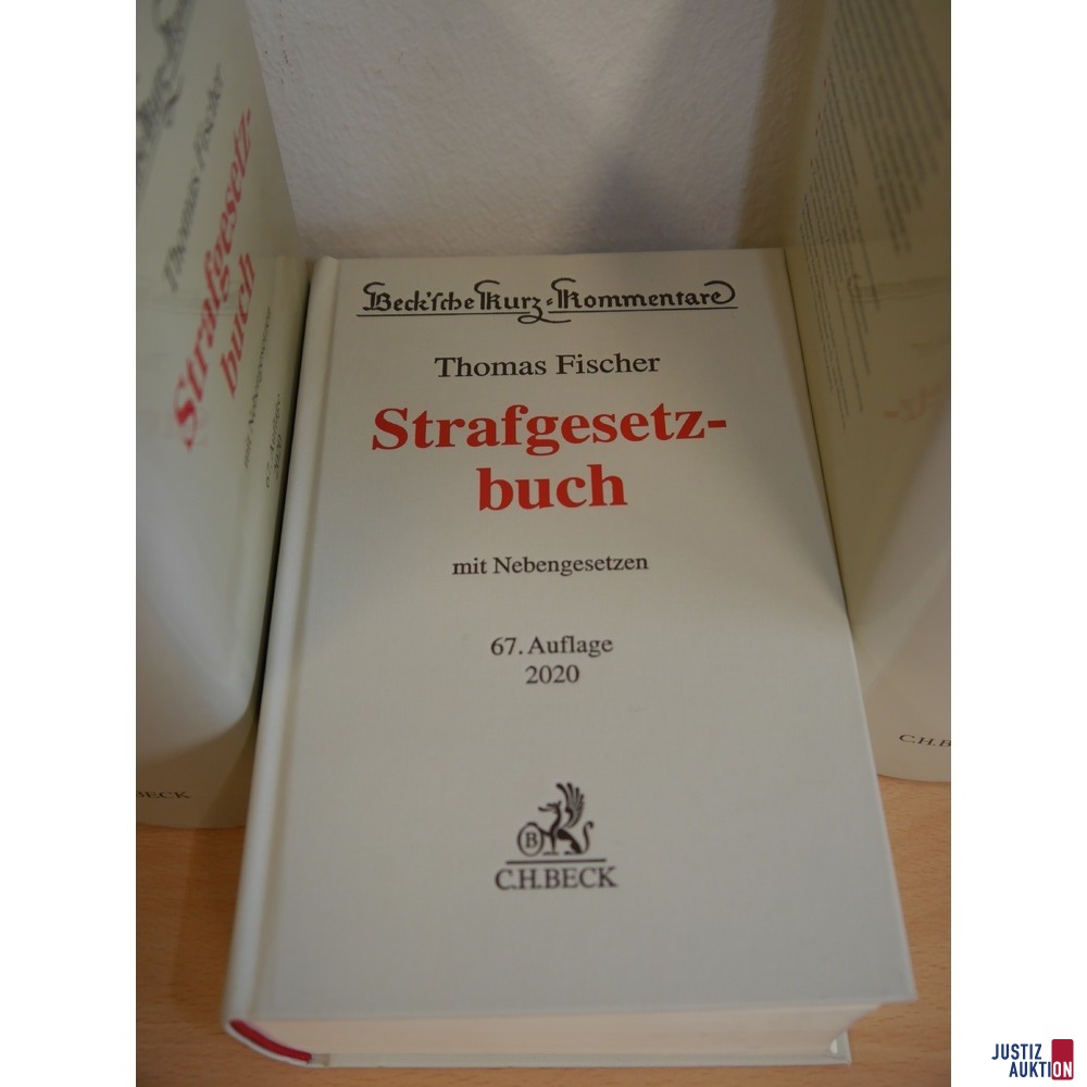 Buch 3